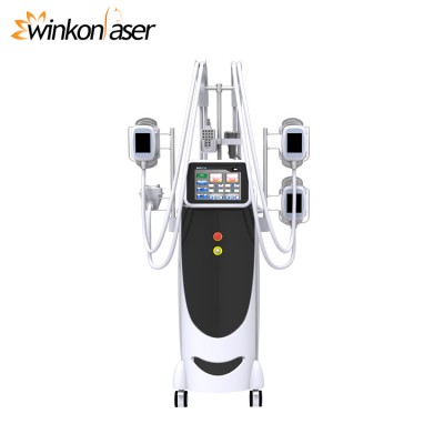 Winkonlaser Cryolipolisis Rf Cavitation Machine Criolipolisis Lipolaser Multifunctional Slimming Machine